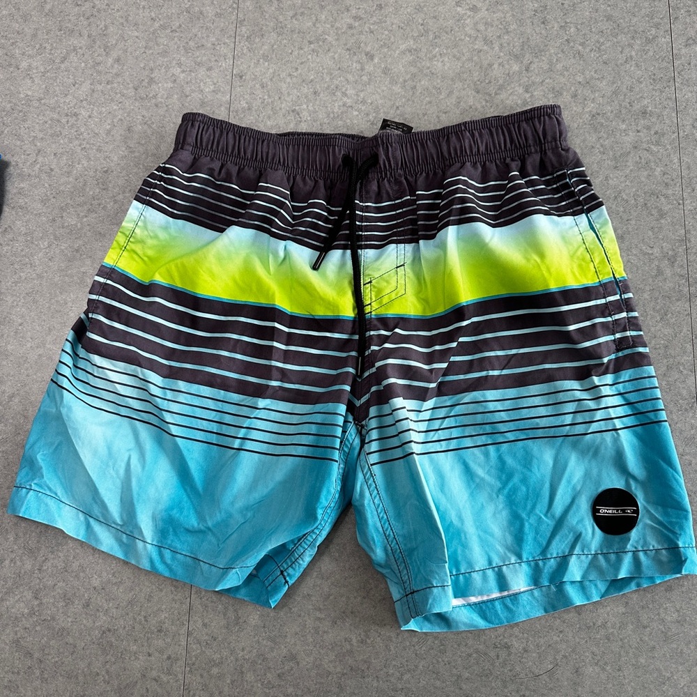 Mens Blue & Lime Stripe Swim Trunks